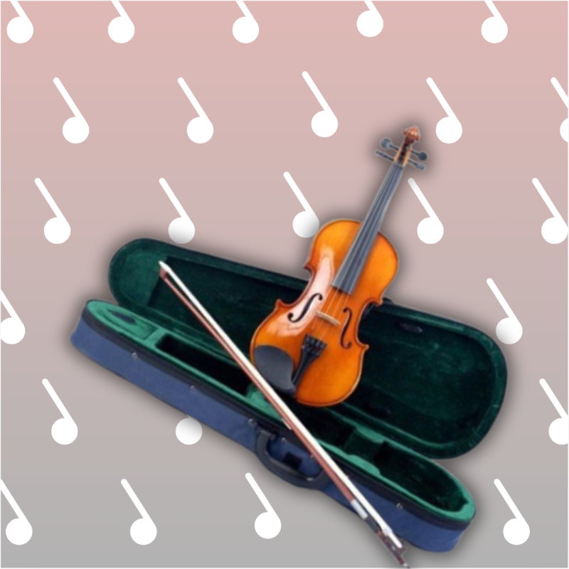 Violin Price in Nepal